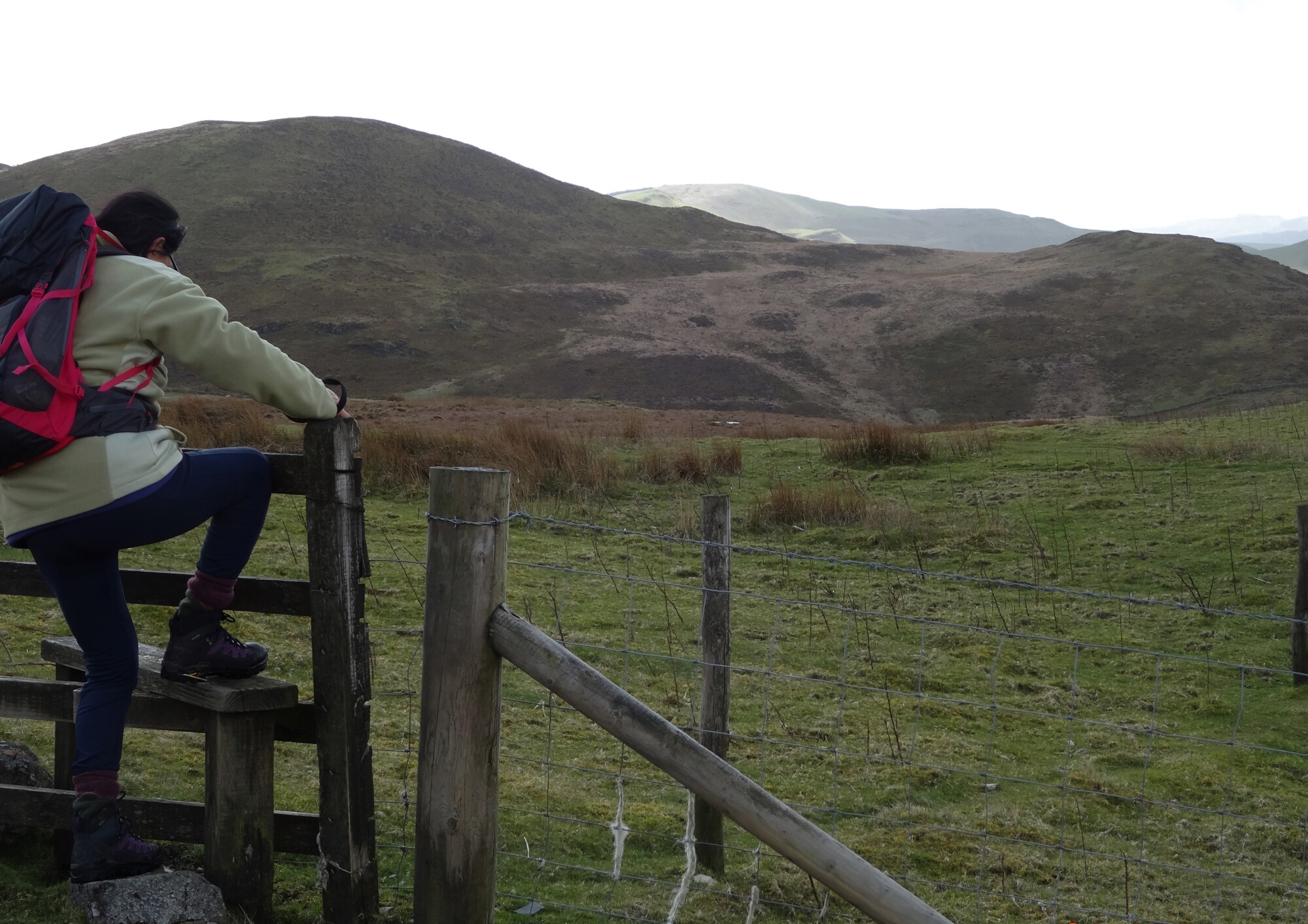 RachelSeabrook.net | Wild Walking | Ponterwyd and Pen Dihewyd | pic10